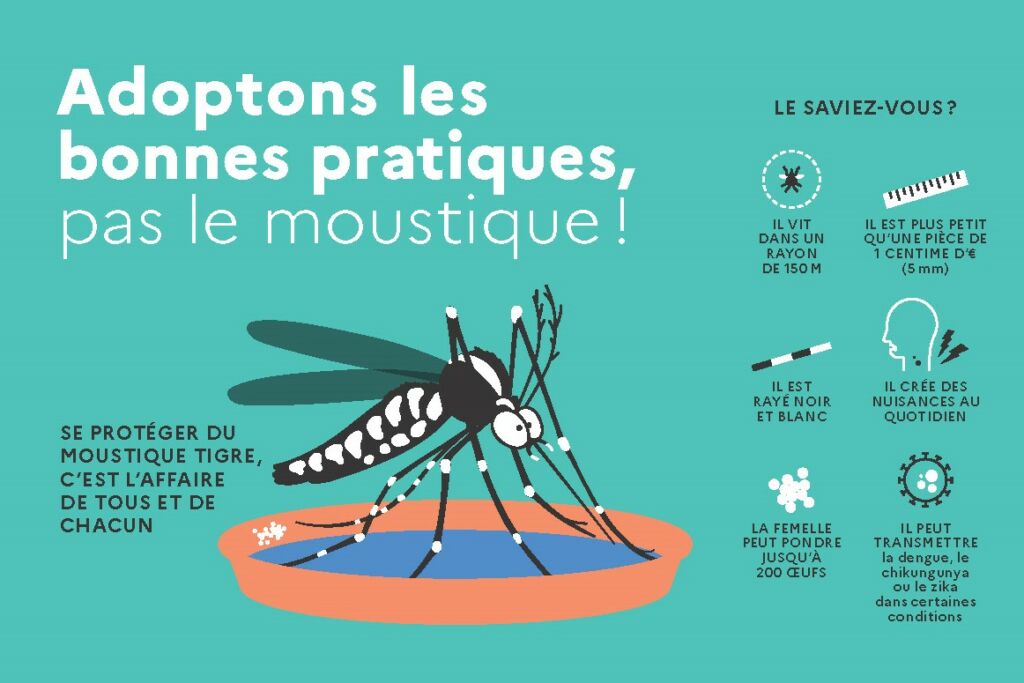 ars22 moustique tigre flyer 150x100mm bat hd page 1