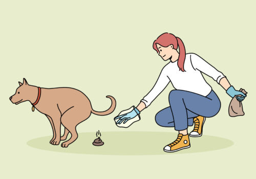 chiens
