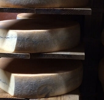 fromage du jura